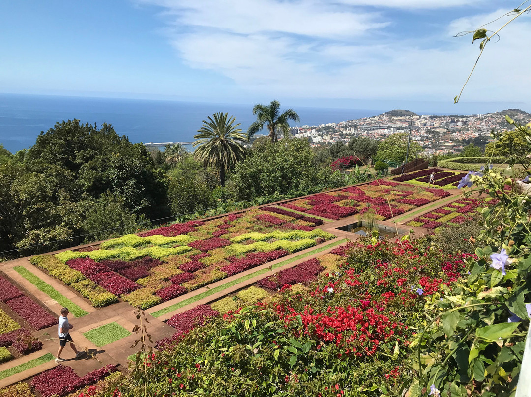 Madeira Botanical Garden-沙尔必去景点
