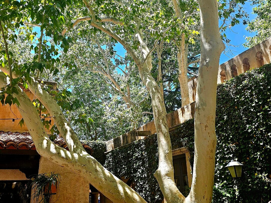 Tlaquepaque Arts & Shopping Village-塞多纳必去景点