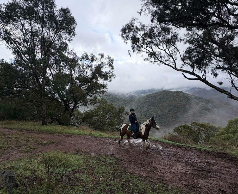 Watson's Mountain Country Trail Rides - Day Tours-曼斯菲尔德必去景点