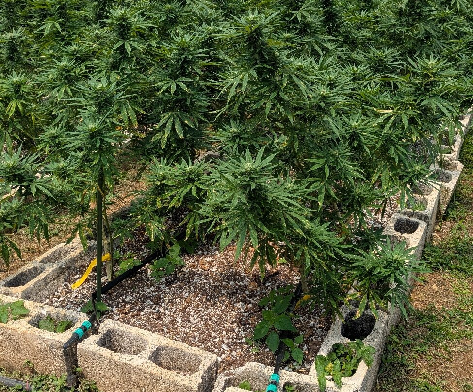 Jacana Farm Tours-奥乔里奥斯必去景点