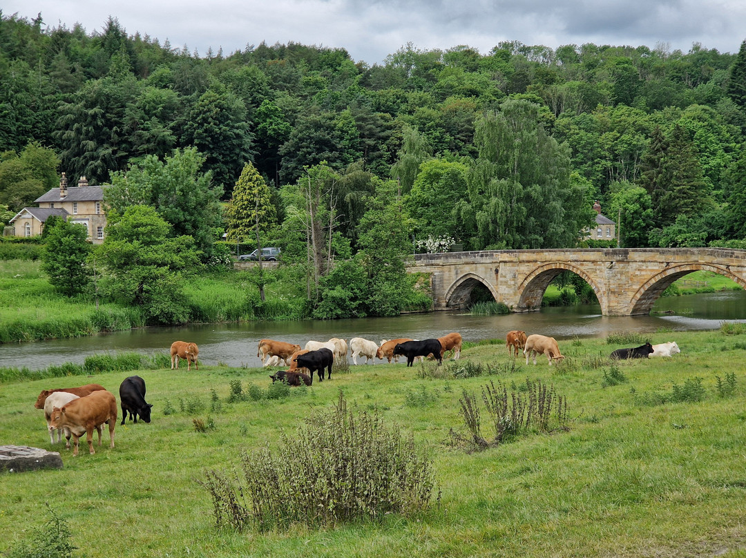 Kirkham Priory-约克必去景点