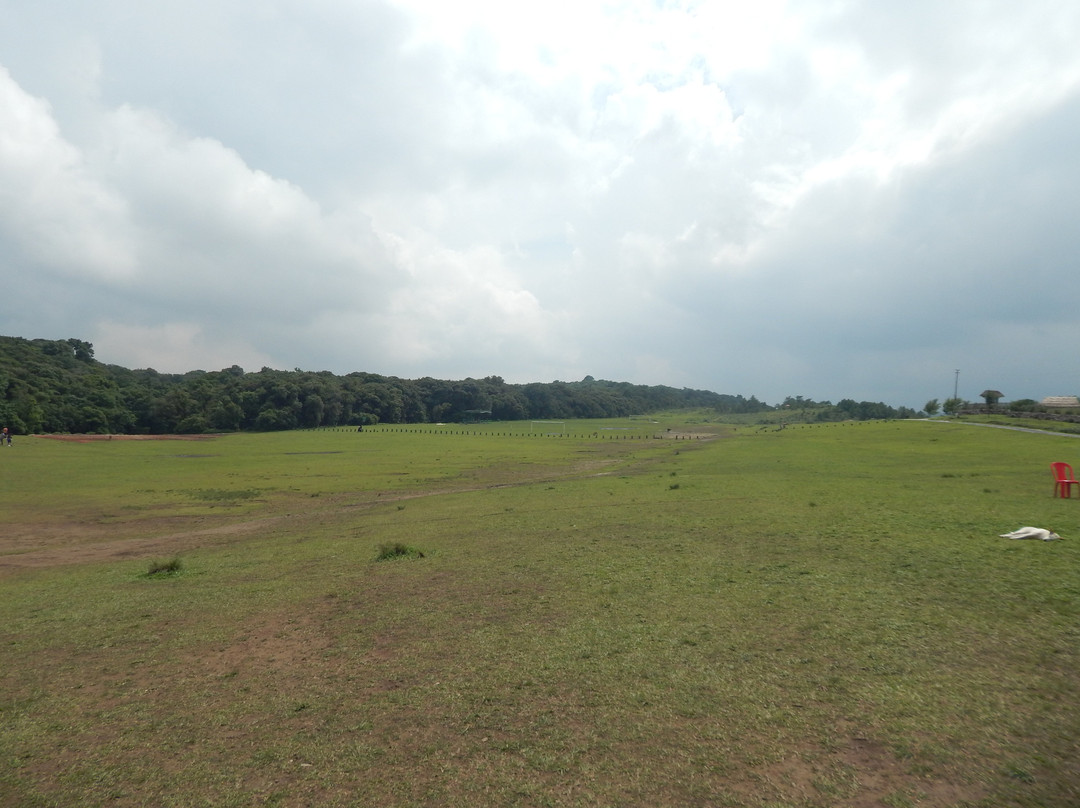Mawphlang Sacred Forest-西隆必去景点