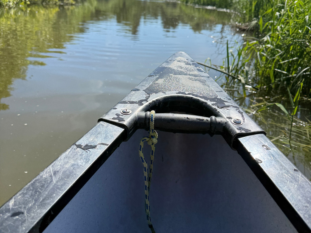 Pulborough Paddles-Pulborough必去景点