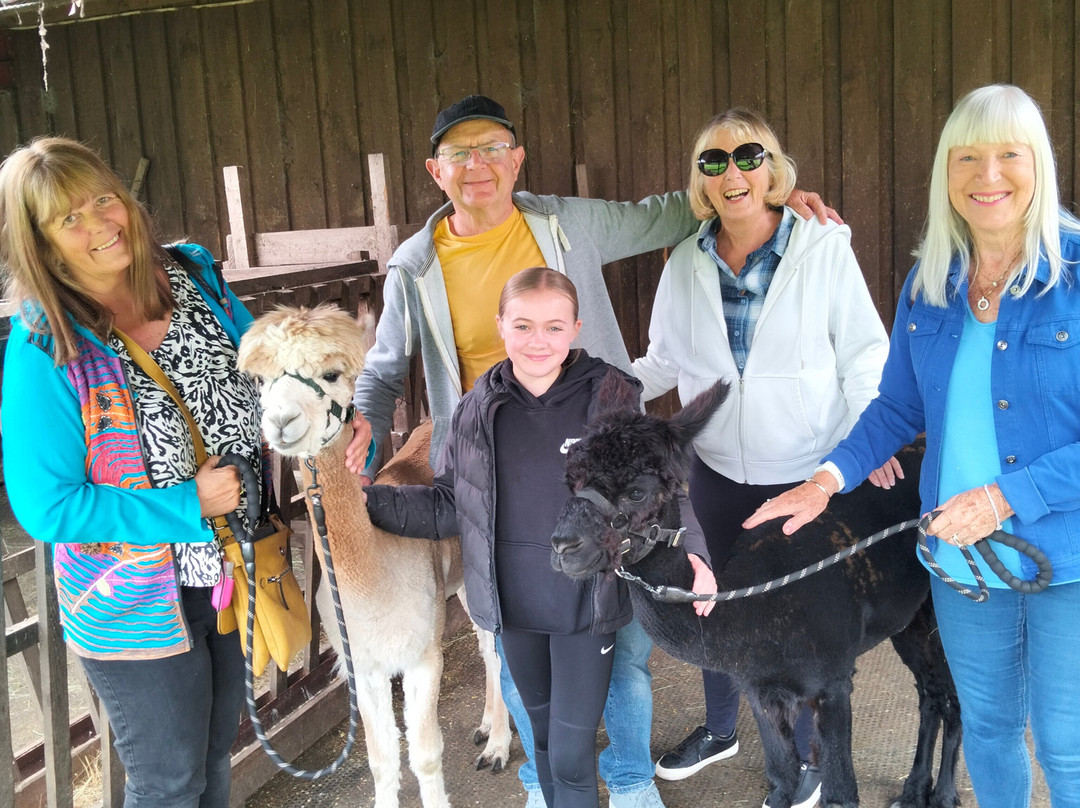 White Peak Alpaca Farm-Mobberley必去景点