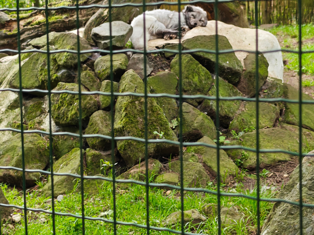 Wildpark Frankenhof-Reken必去景点