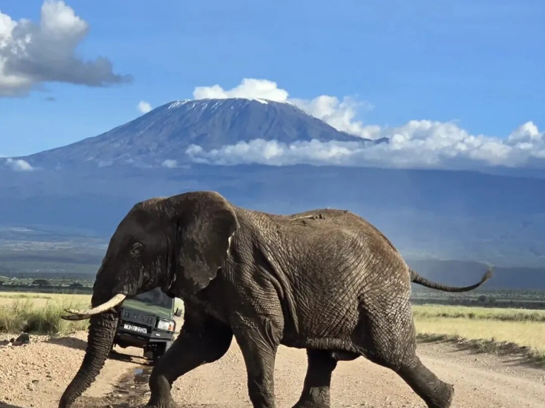 Destinations Kenya Safari-内罗毕必去景点