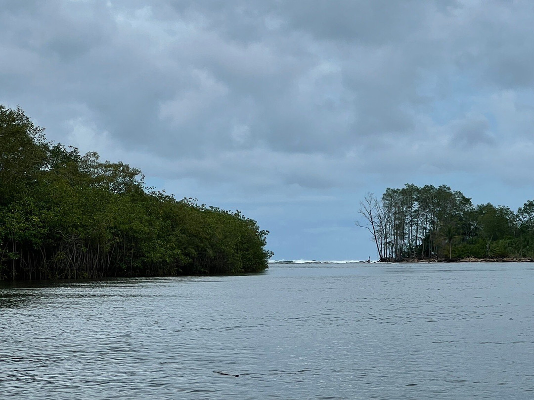 Mangrove Boat Tour-克波斯必去景点