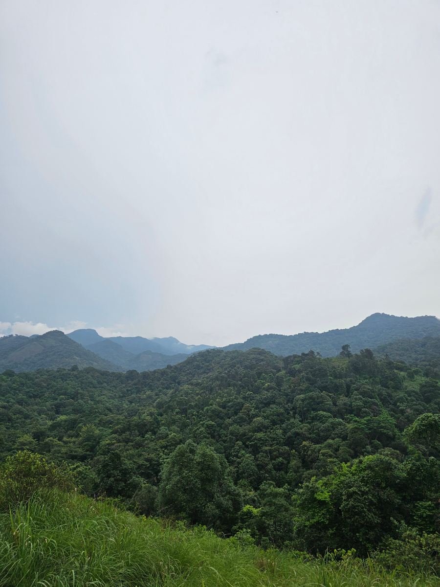 瓦亚纳德野外雨林旅馆-CGH地球酒店-旅行者