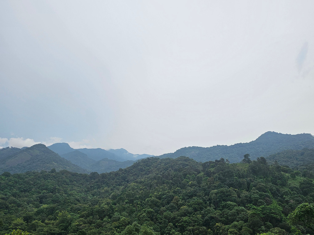 瓦亚纳德野外雨林旅馆-CGH地球酒店主图