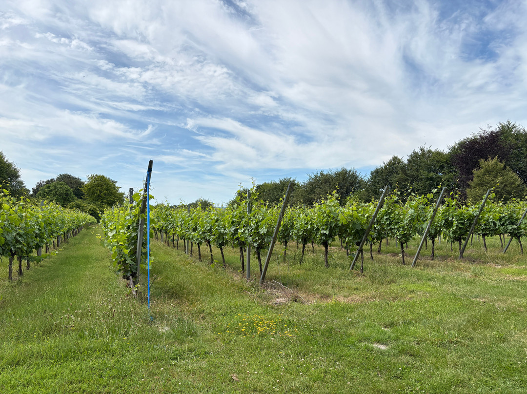 Bluestone Vineyards-索尔兹伯里必去景点