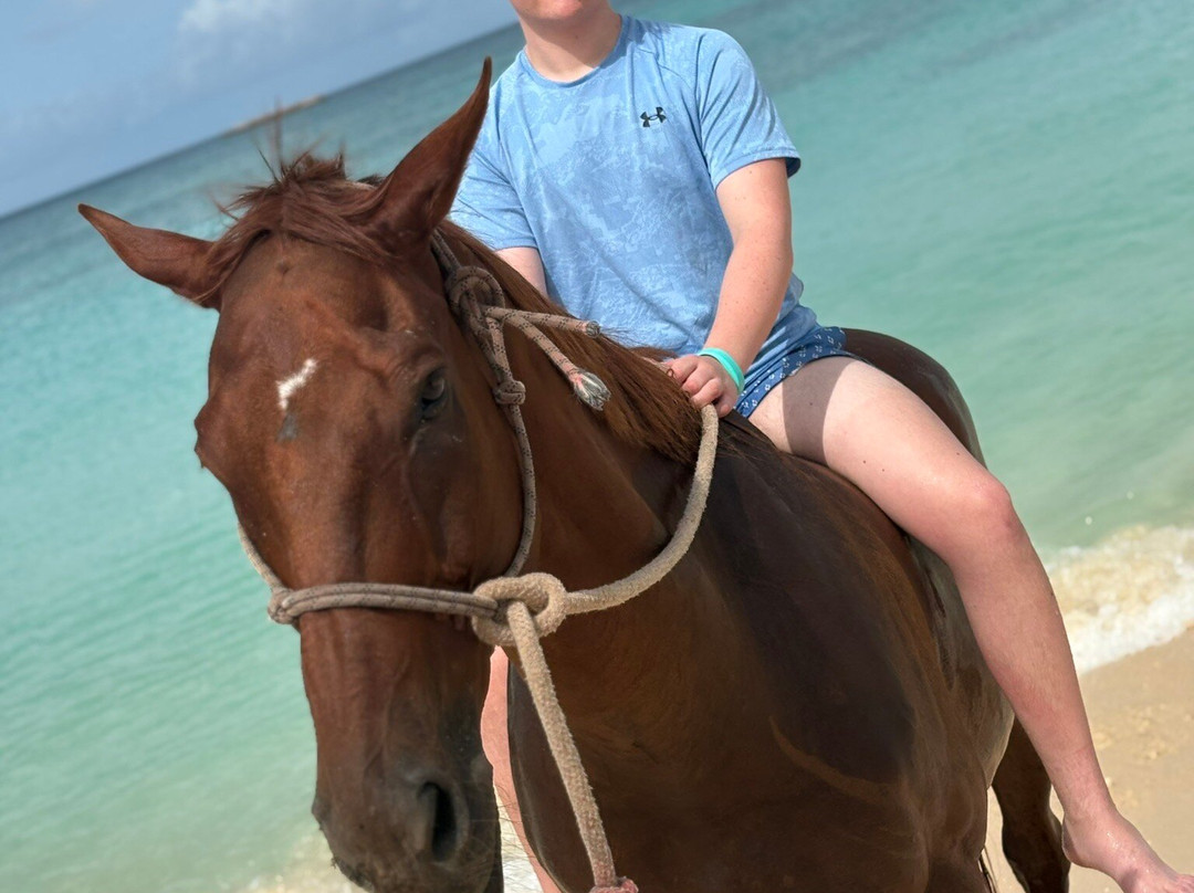 Sandy Turf Stables Barbados-Frere Pilgrim必去景点