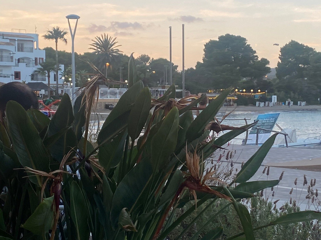 AluaSoul Ibiza - Adults Only主图