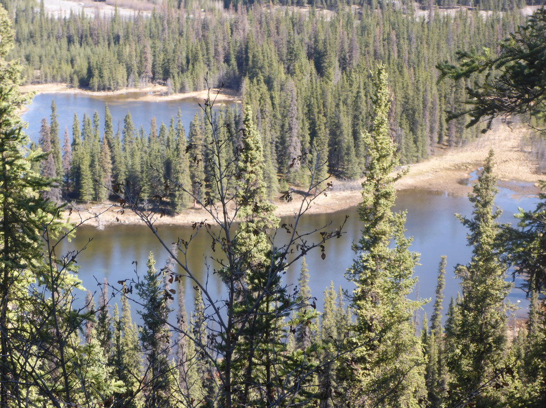 Denali National Park-阿拉斯加必去景点