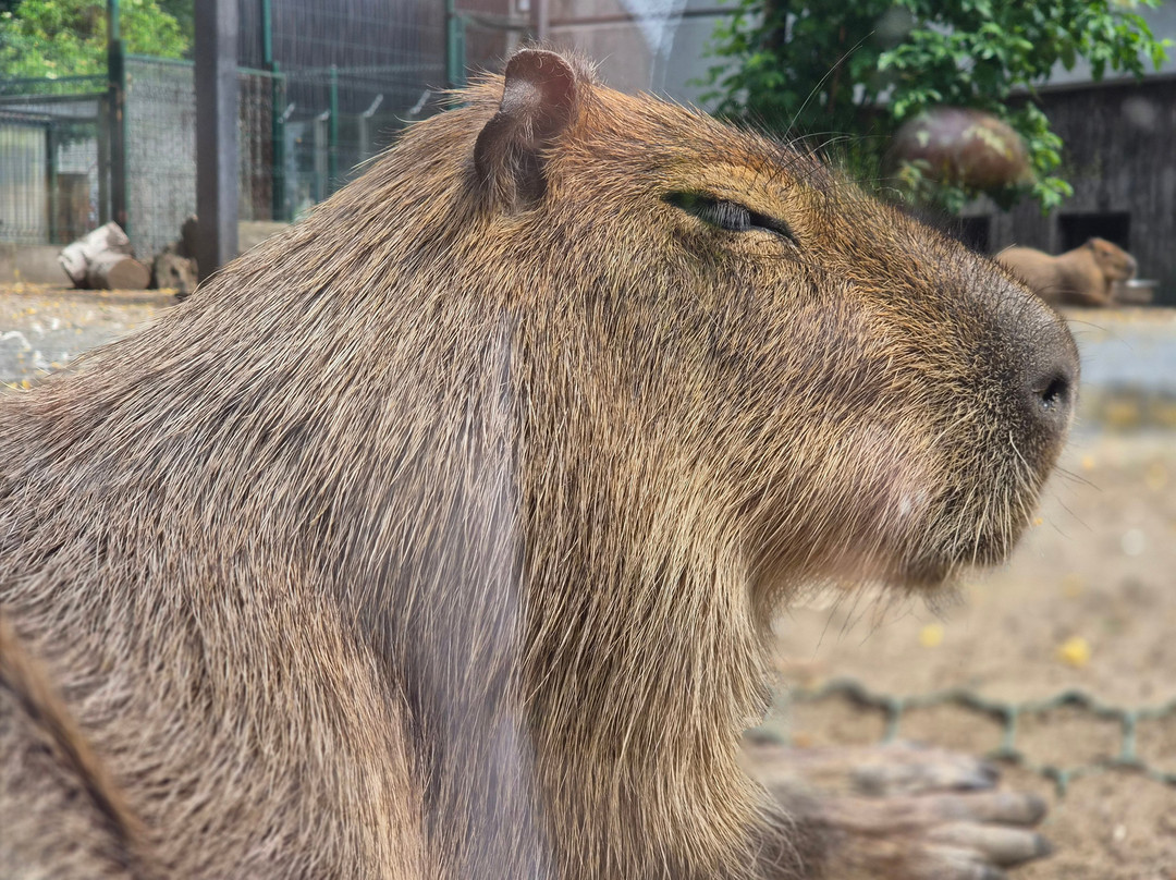 Orientarium Zoo Lodz-罗兹必去景点