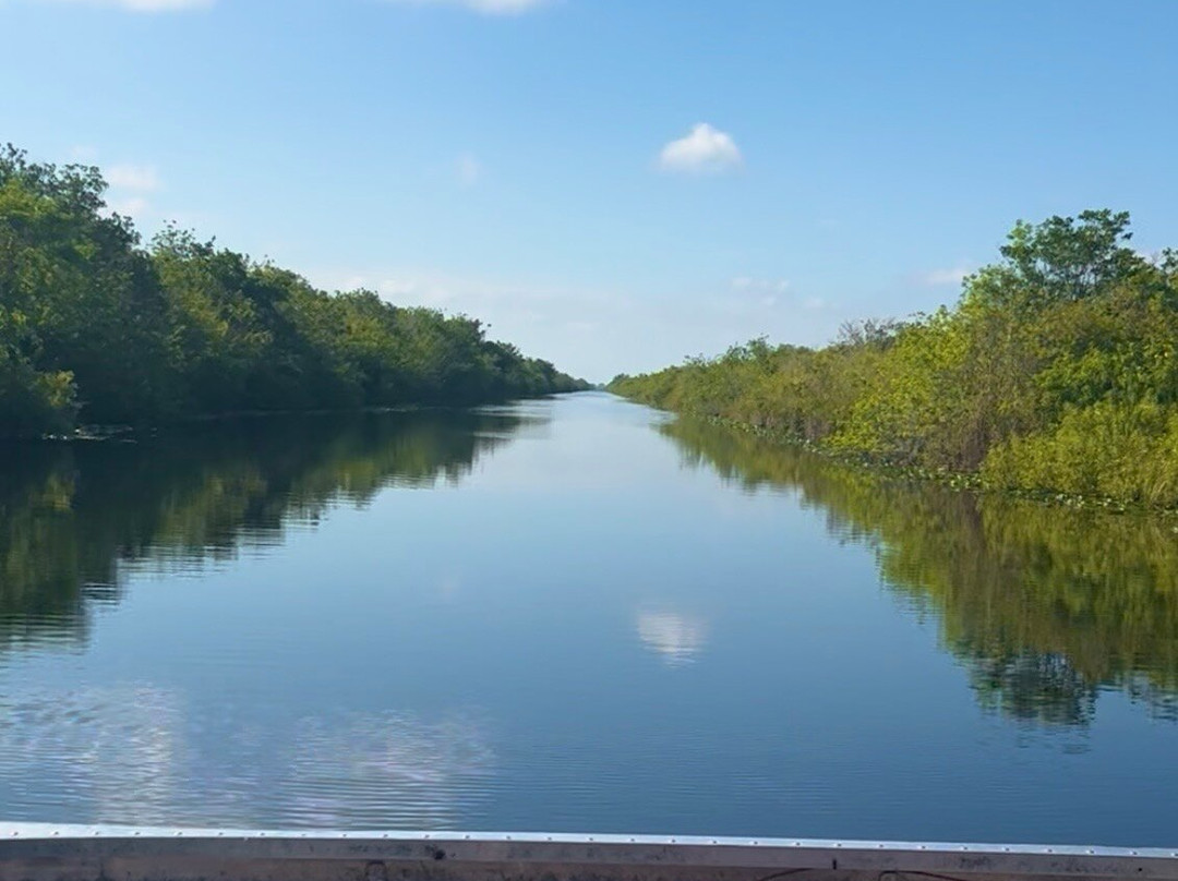 Everglades Swamp Tours-Everglades Wildlife Management Area必去景点