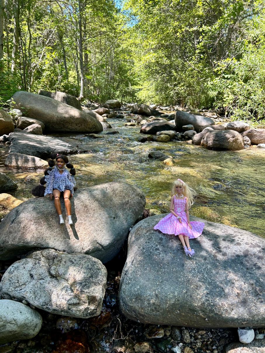 Jubilee Railroad Wilderness Lodge-旅行者