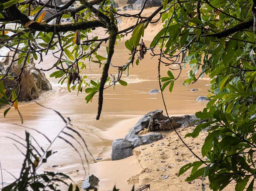 Masoala National Park-Maroantsetra必去景点