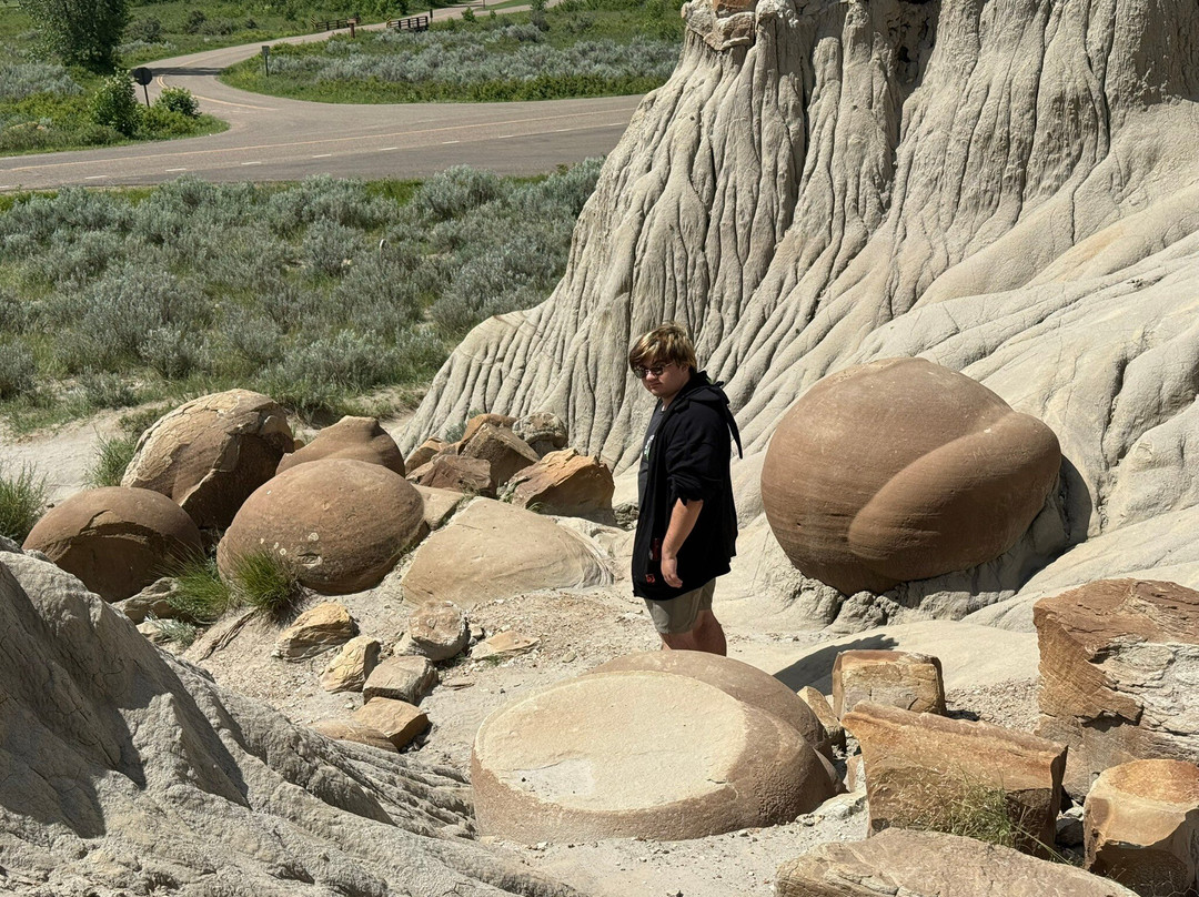 North Unit-Theodore Roosevelt National Park必去景点