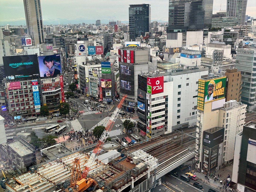 Shibuya Sky-涩谷区必去景点