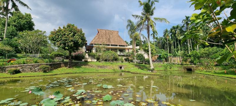 Hotel Deli River-旅行者