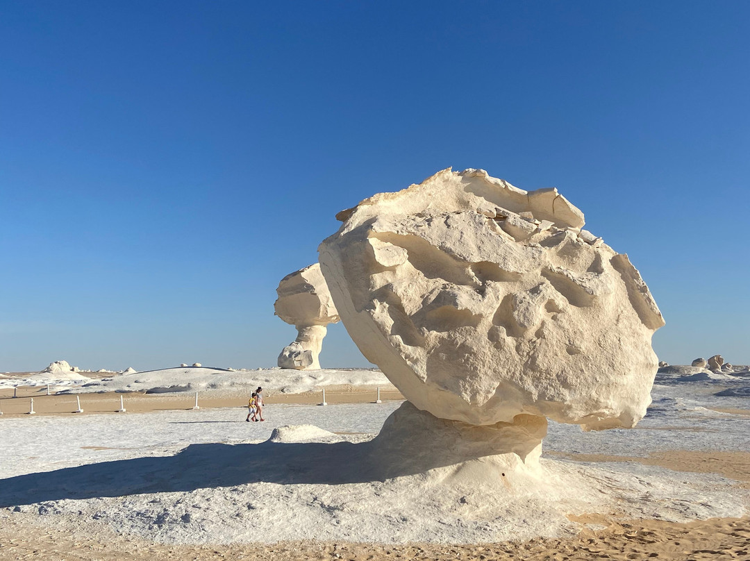 Cairo Top Tours-开罗必去景点