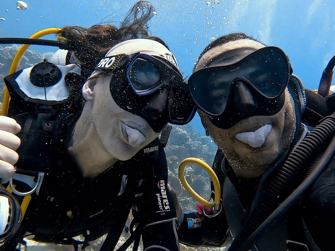 Orca Dive Club Safaga-Safaga必去景点