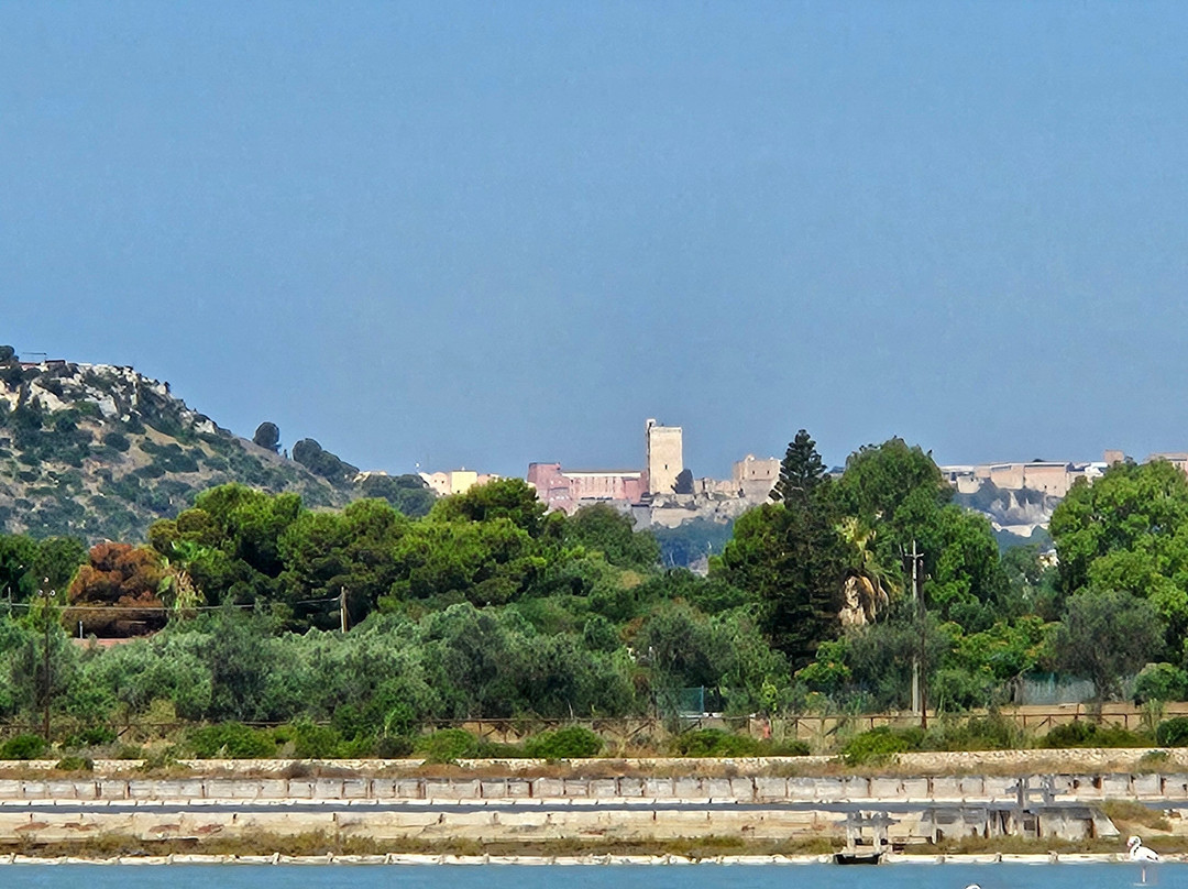 Parco Naturale Molentargius-Saline-卡利亚里省必去景点