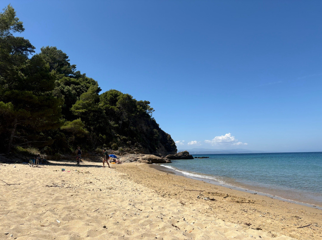 Agia Eleni Beach-斯亚索斯必去景点