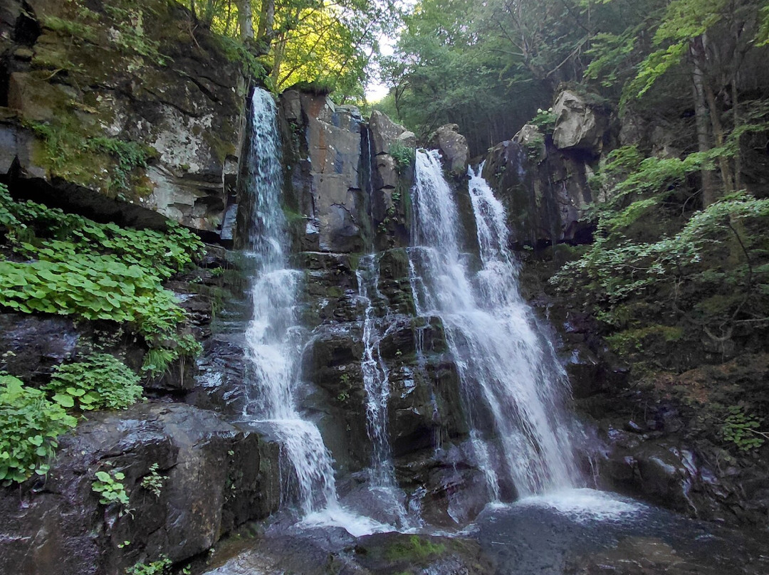 Cascate del Dardagna-Lizzano in Belvedere必去景点
