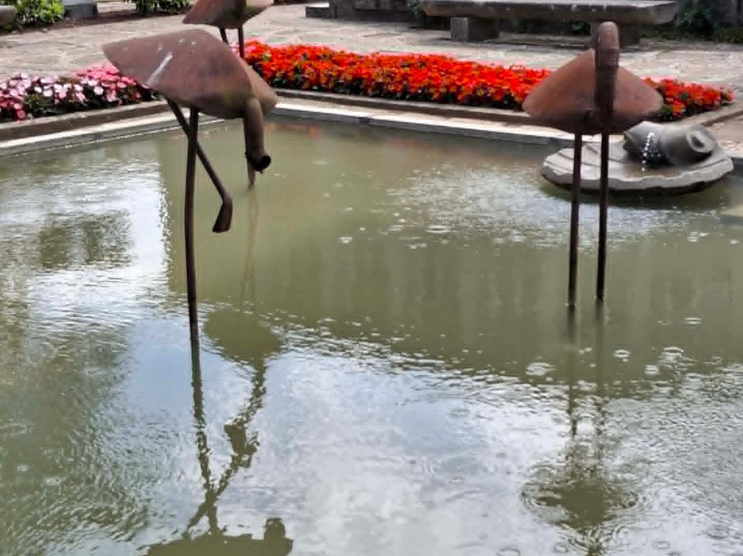 Flamingos-法马利康新镇必去景点