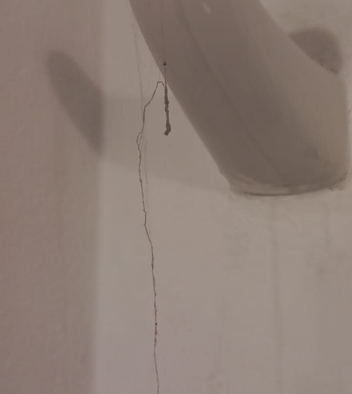 公园小屋酒店主图