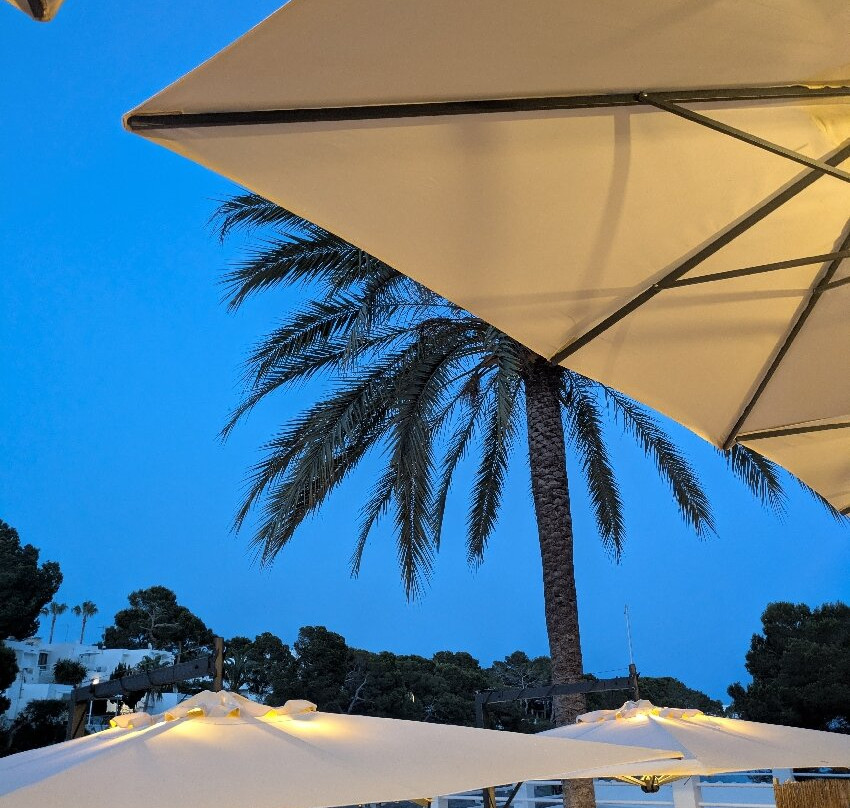 Monsuau Cala D'Or 酒店 - 限成人主图