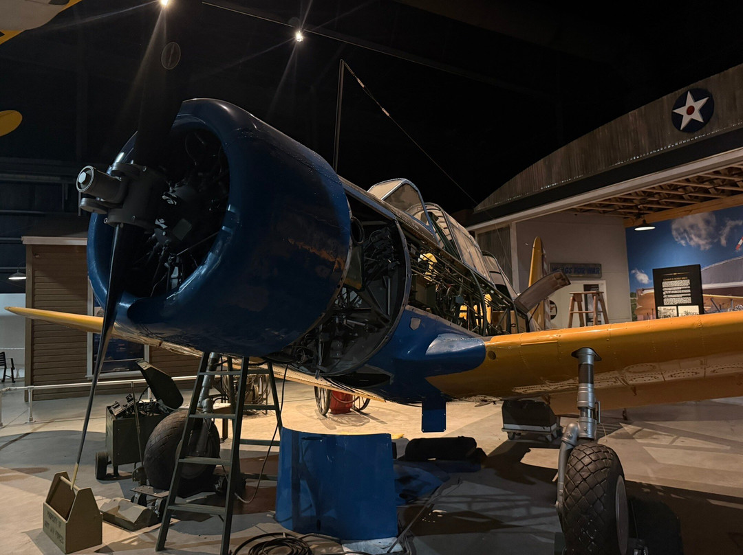 Museum of Aviation-华纳罗宾斯必去景点