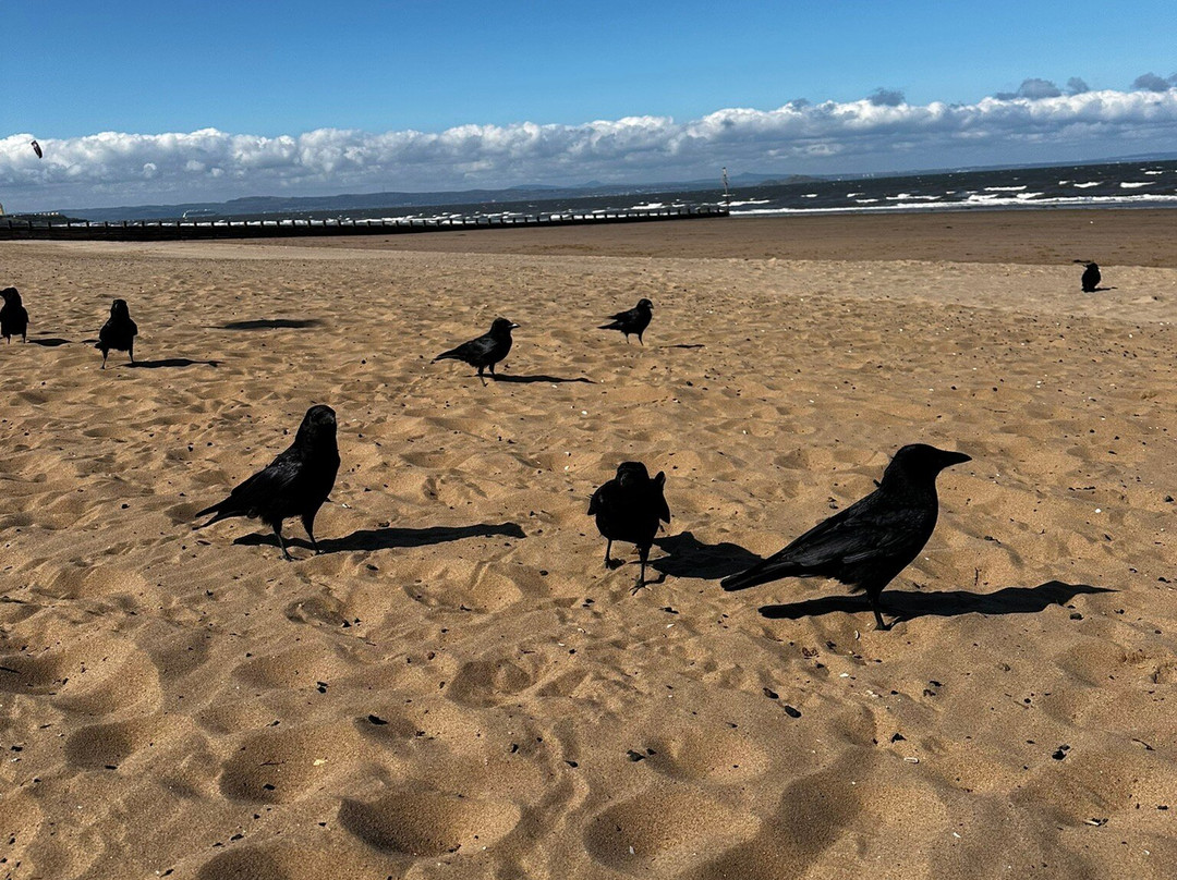 Portobello Beach-爱丁堡必去景点