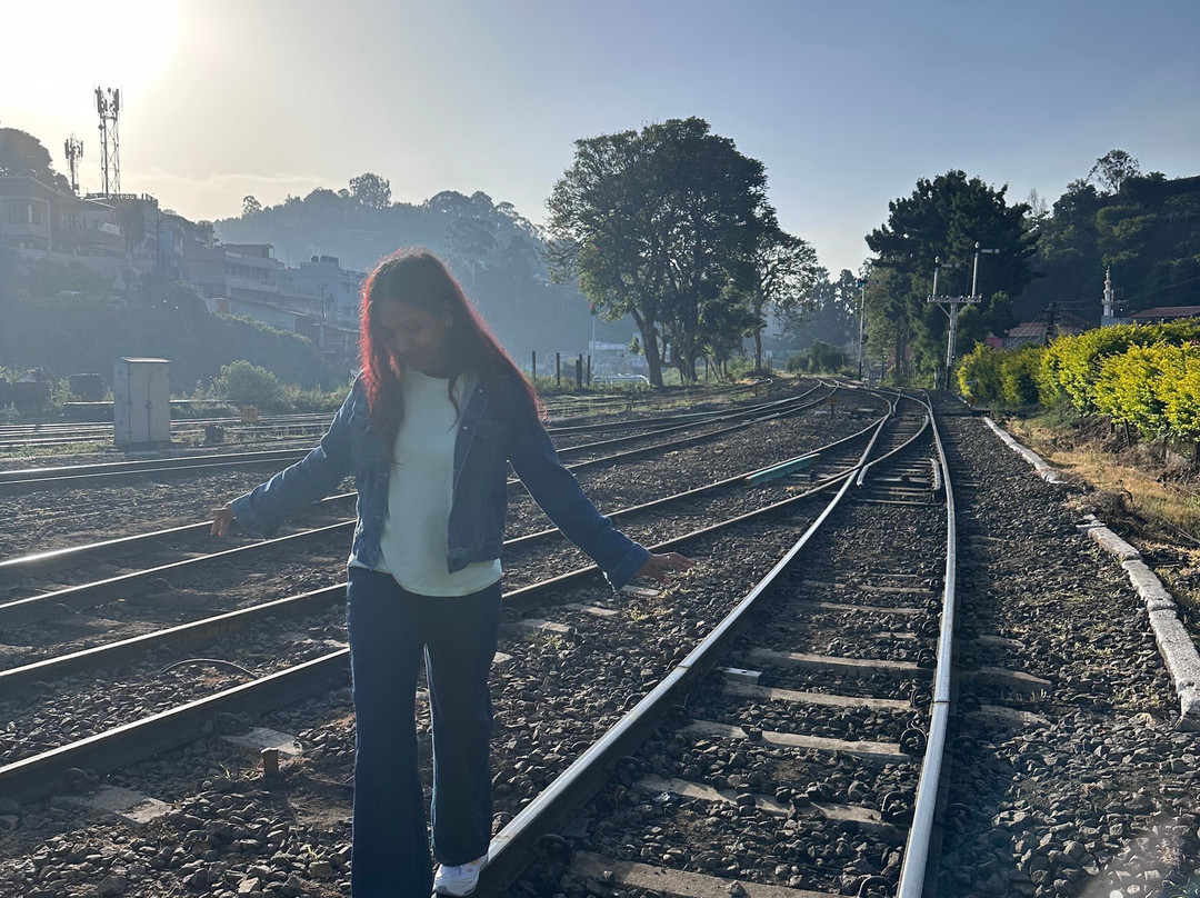 Nilgiri Mountain Railway-乌提必去景点