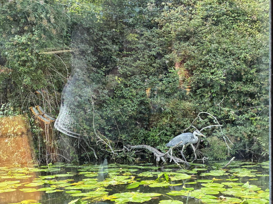 Chichester Ship Canal Trust-奇切斯特必去景点