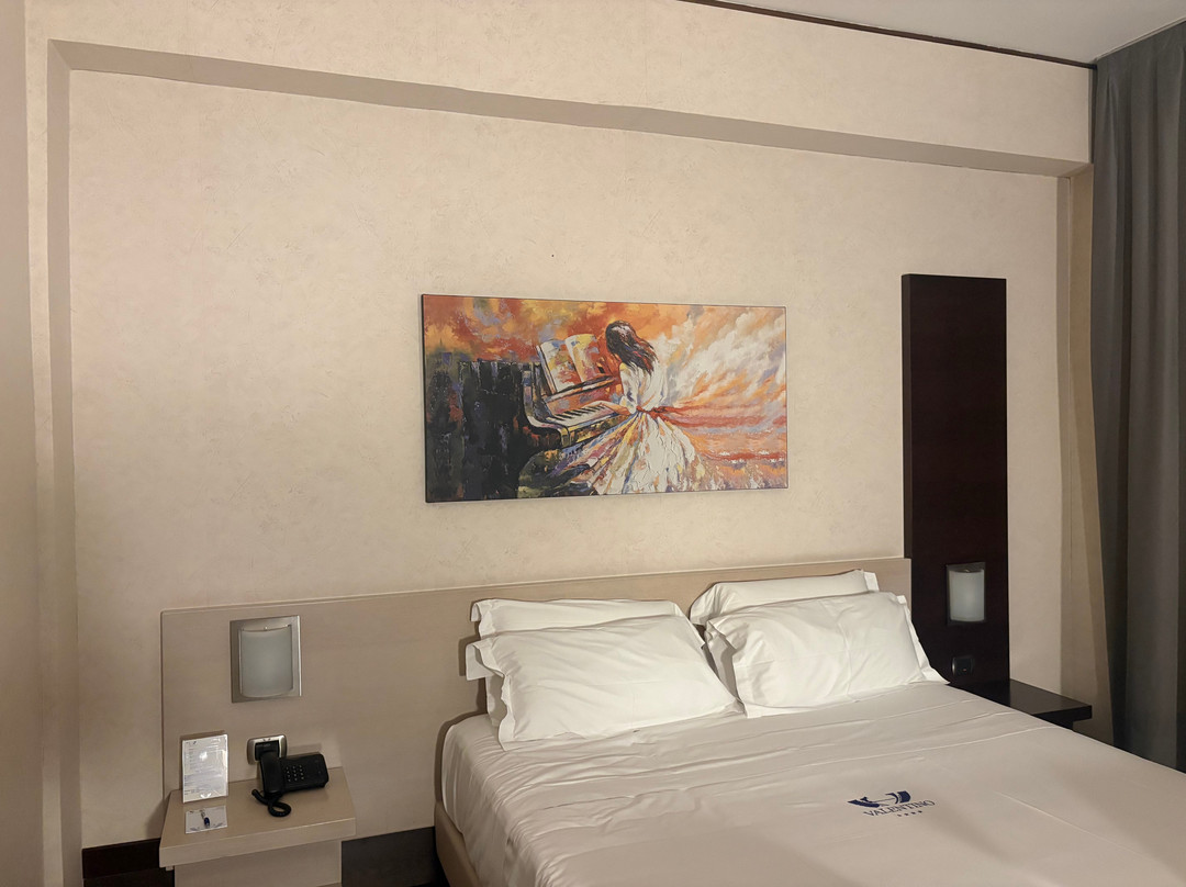 瓦伦缇诺酒店主图