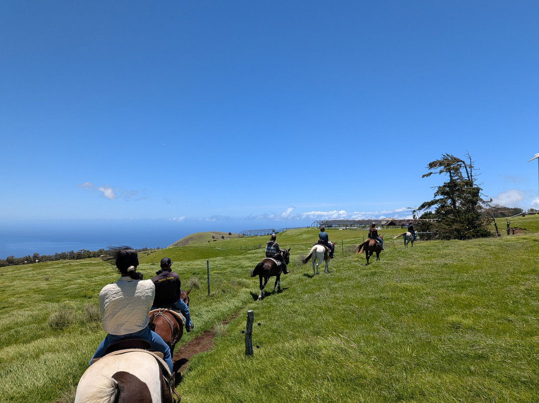 Na'alapa Stables - Kahua Ranch-卡慕也拉必去景点
