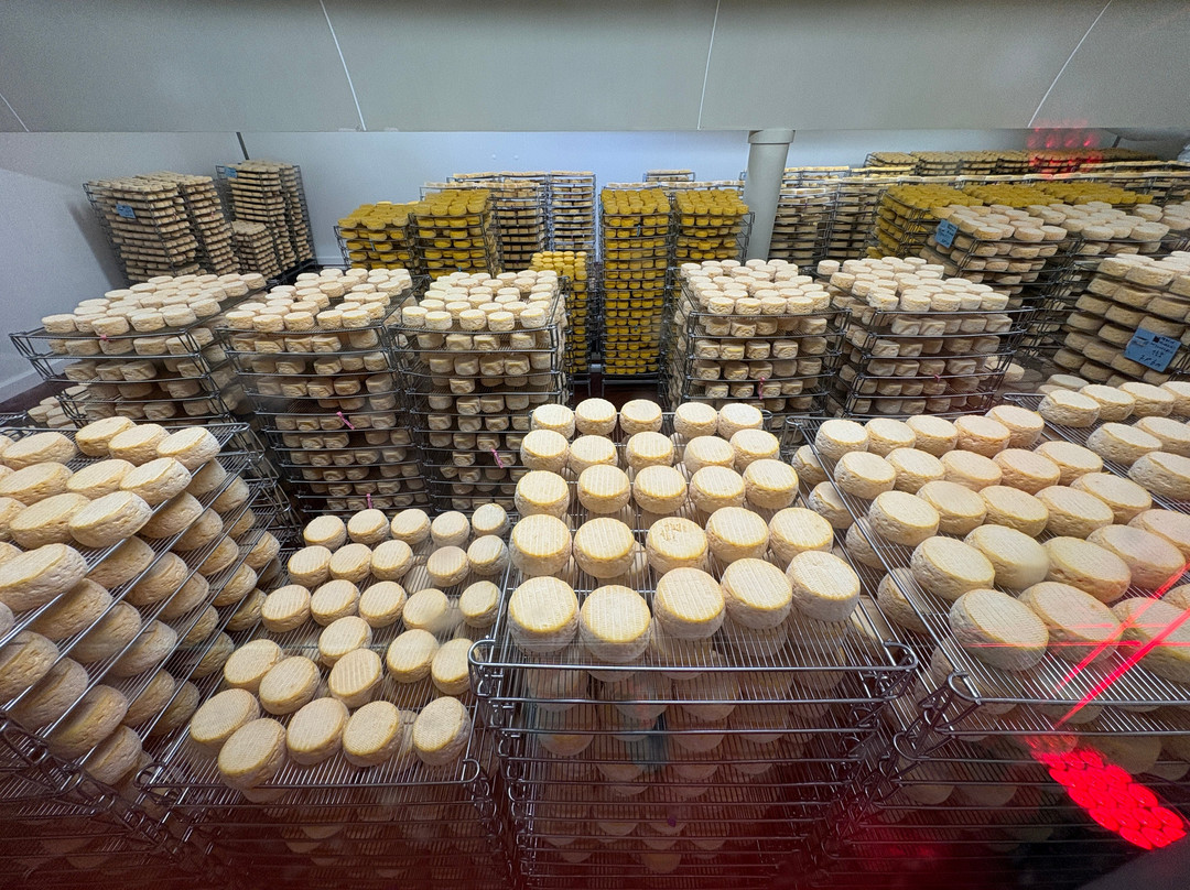 Fromagerie Graindorge-Livarot必去景点