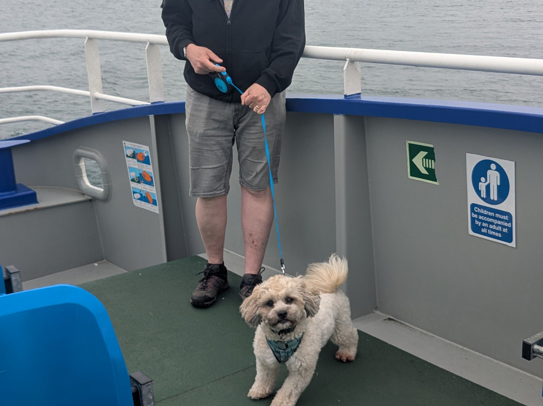 The Arranmore Ferry-Burtonport必去景点
