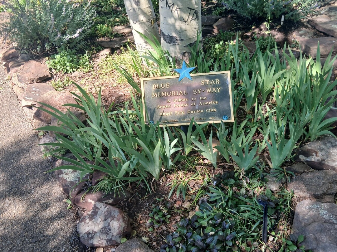 Vietnam Veterans Memorial-天使之火必去景点