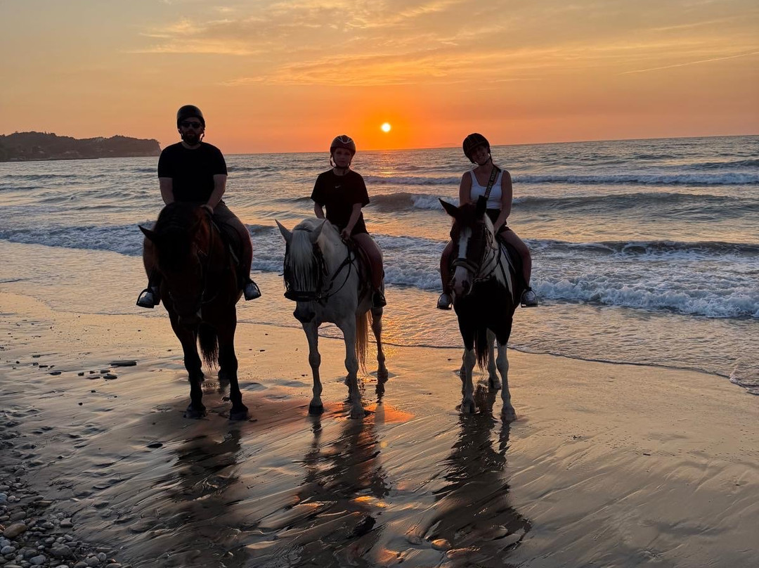 Katreena Horse Riding Corfu in Roda