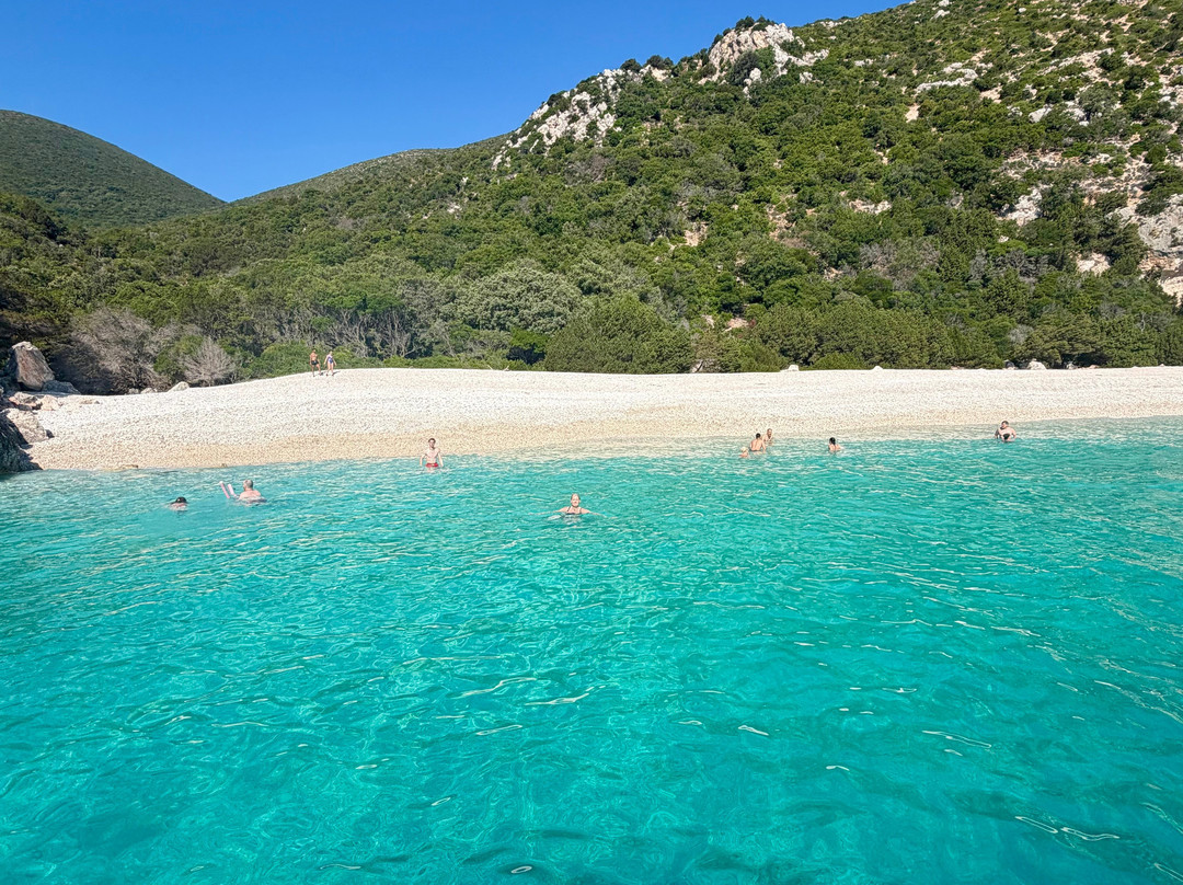 Kefalonia Fishing Tours-Zola必去景点