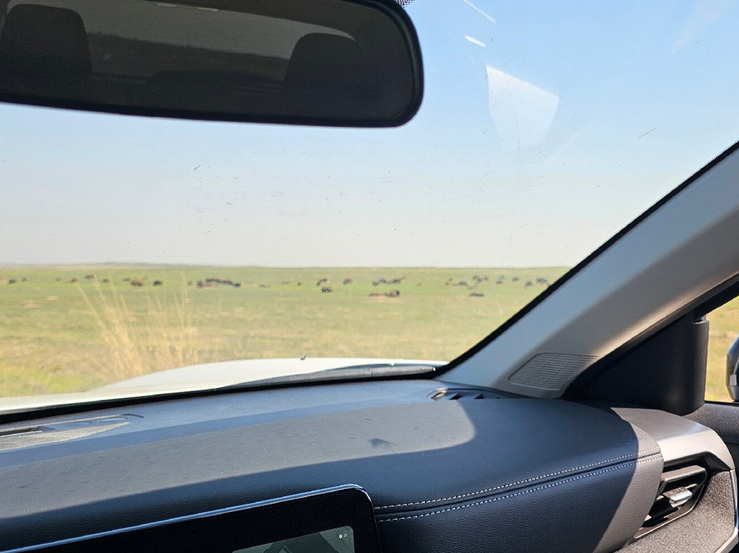 Rocky Mountain Arsenal National Wildlife Refuge-Commerce City必去景点