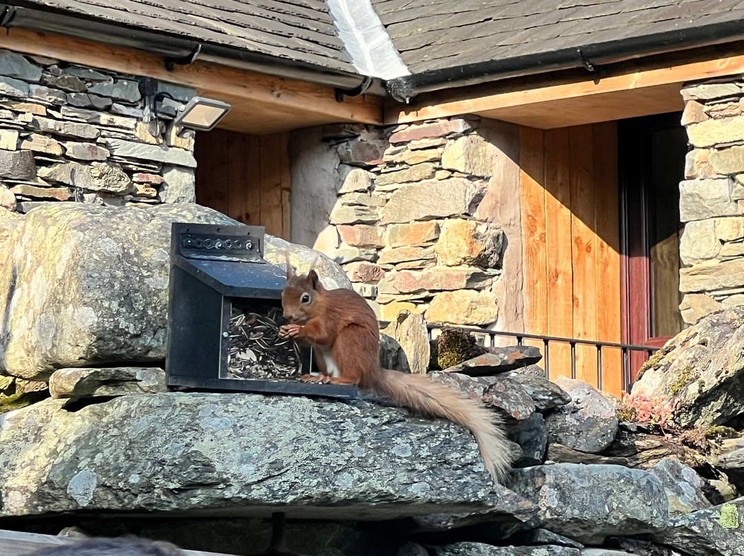 克鲁卡贝科住宿加早餐旅馆主图