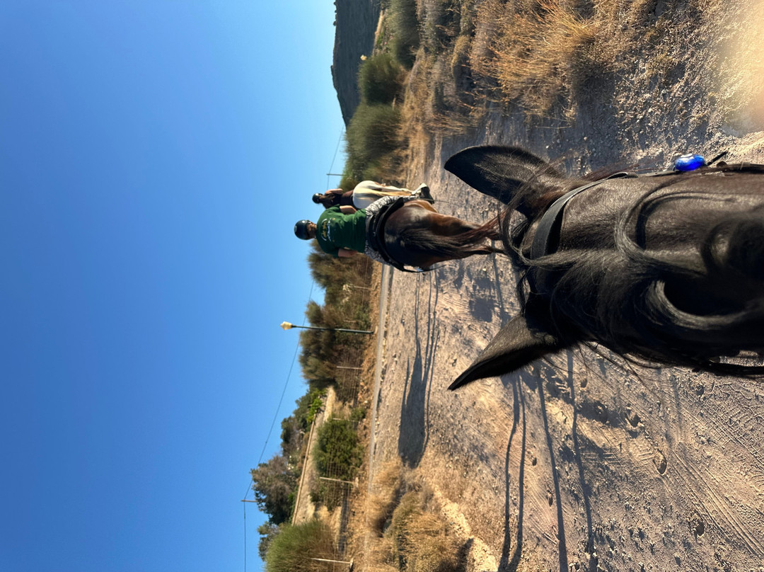 Horse Riding In Leros - The Mountain Ranch