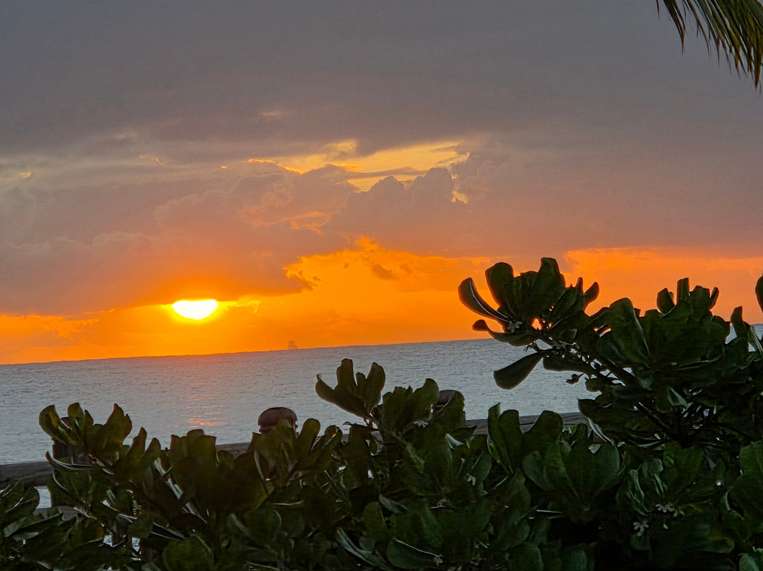 The Westin Turtle Bay Resort & Spa