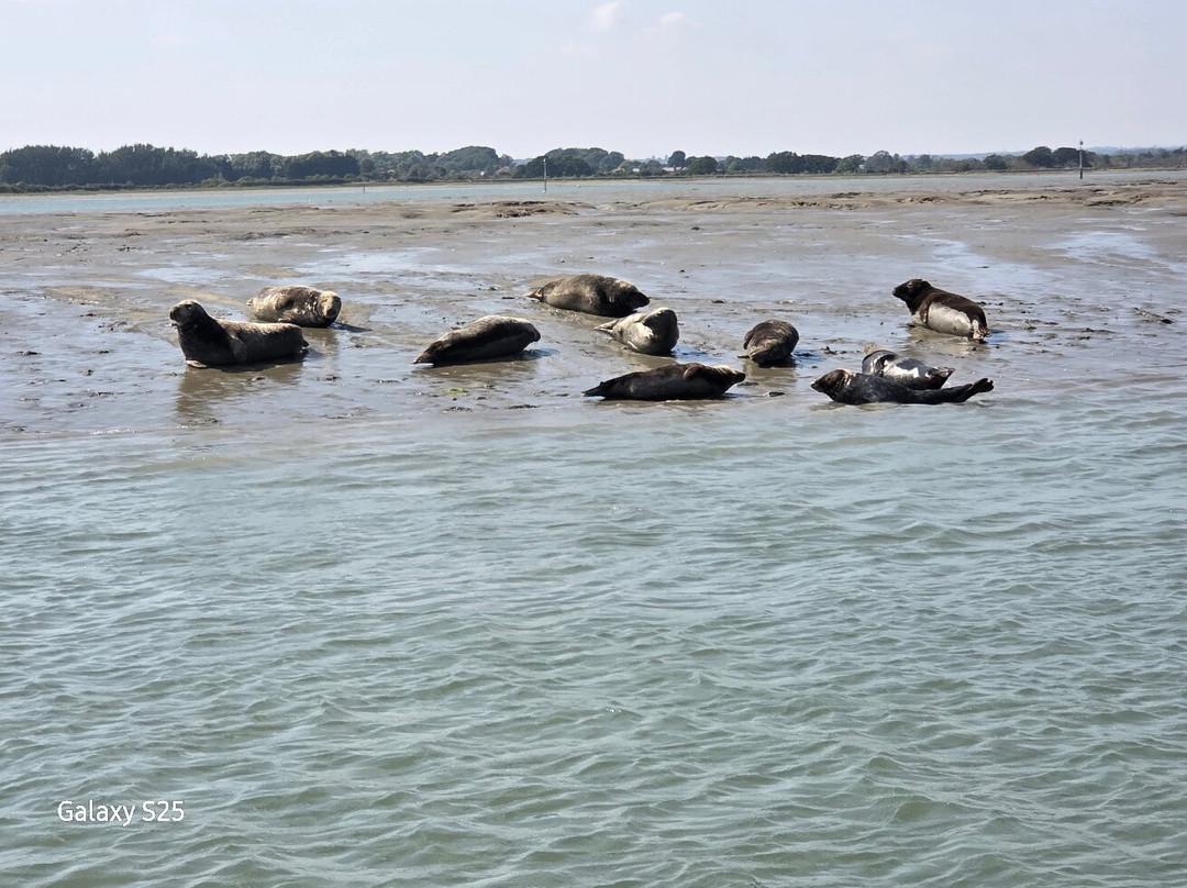 Chichester Harbour Water Tours-West Itchenor必去景点