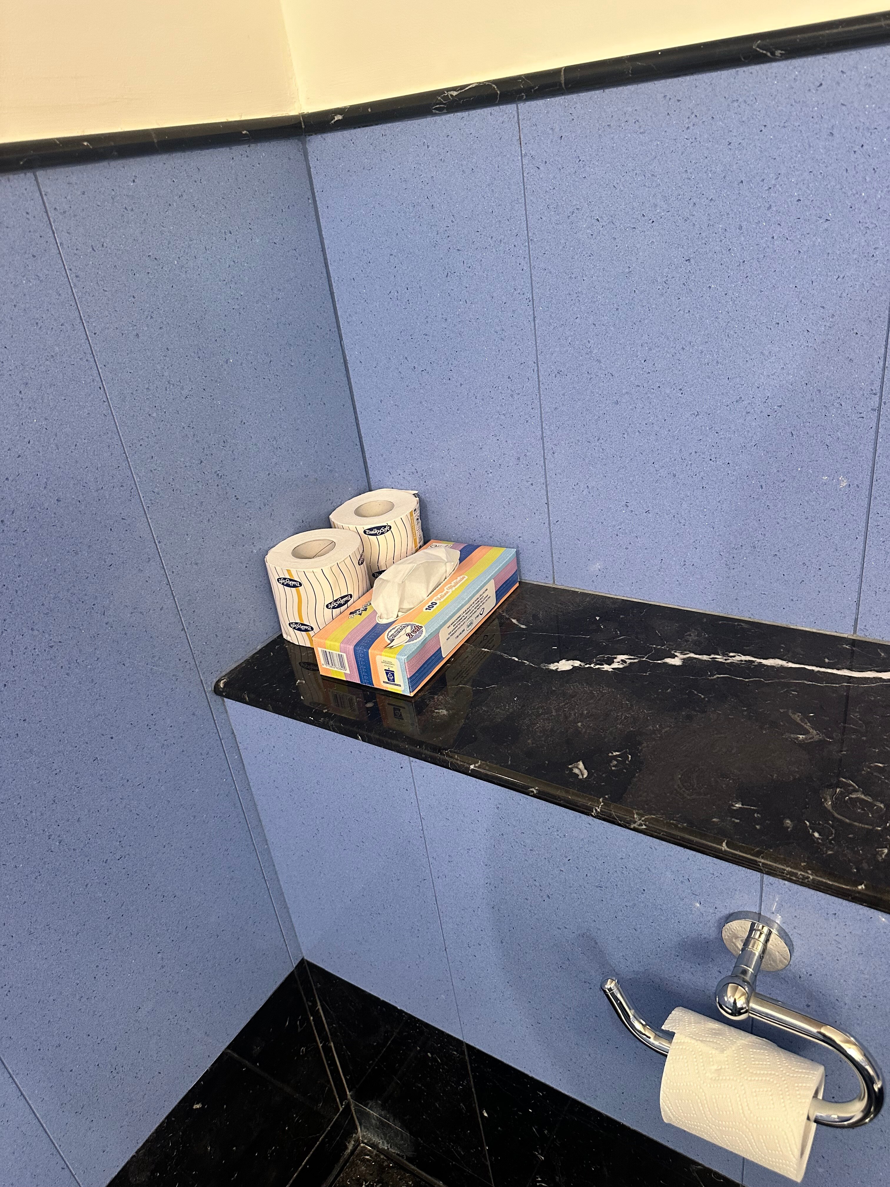达尔波佐城堡酒店-浴室