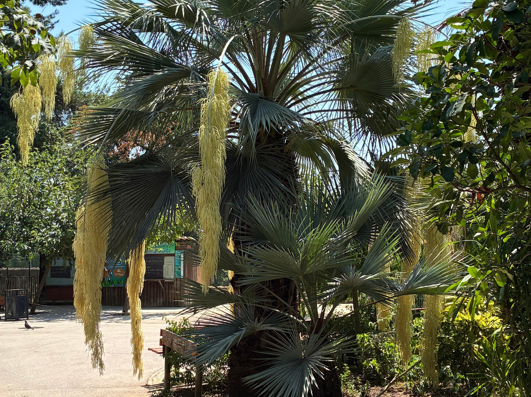 Parc Olbius-Riquier-耶尔必去景点